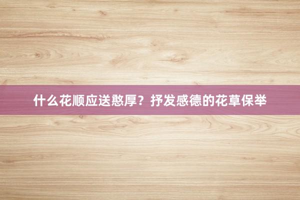 什么花顺应送憨厚？抒发感德的花草保举